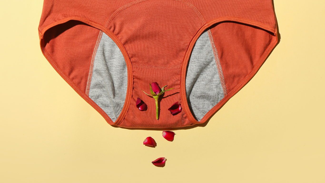 Period Panty 101