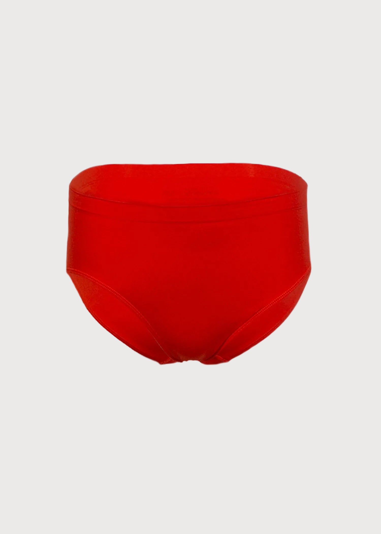 Ahh Seamless High Cut Brief Panty by Rhonda Shear — seamless high-cut brief