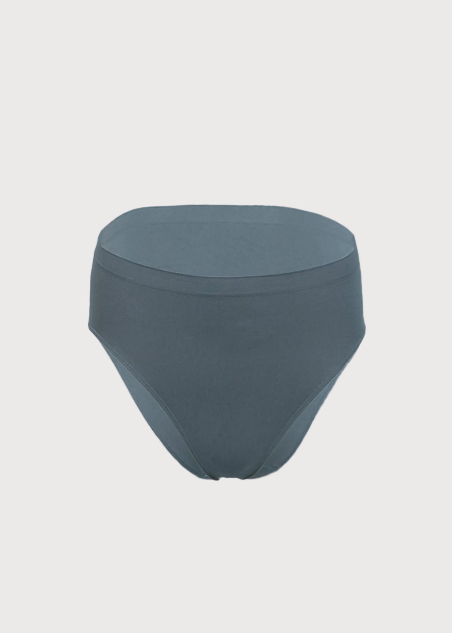 Ahh Seamless High Cut Brief Panty by Rhonda Shear — seamless high-cut brief