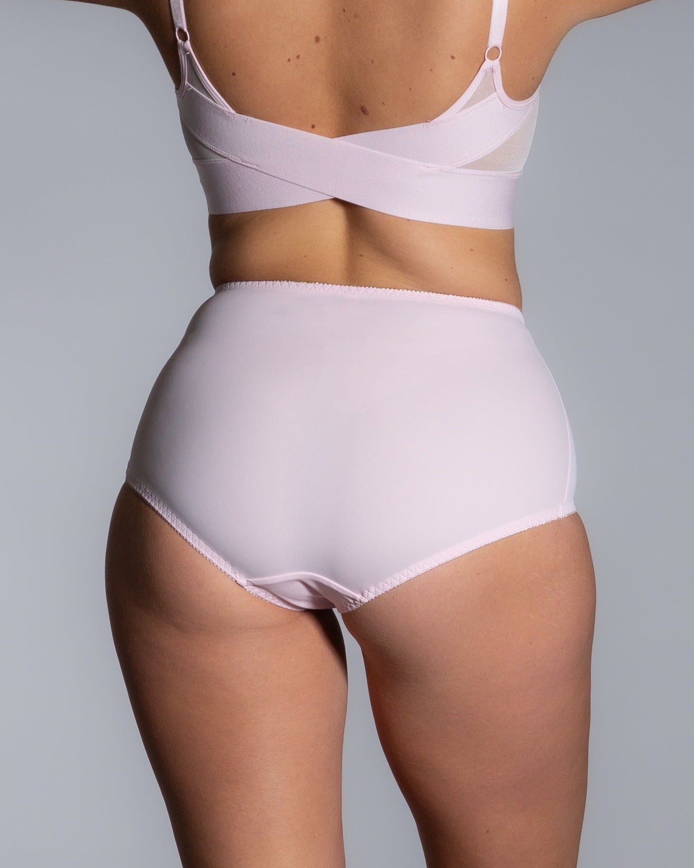 Style 4113-Full Coverage Brief Panty - Back pink