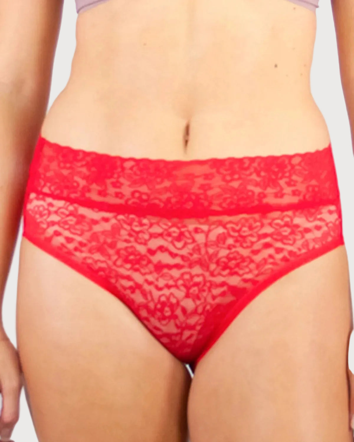 Lace Panty Brief for Women_Rhonda_Shear_4