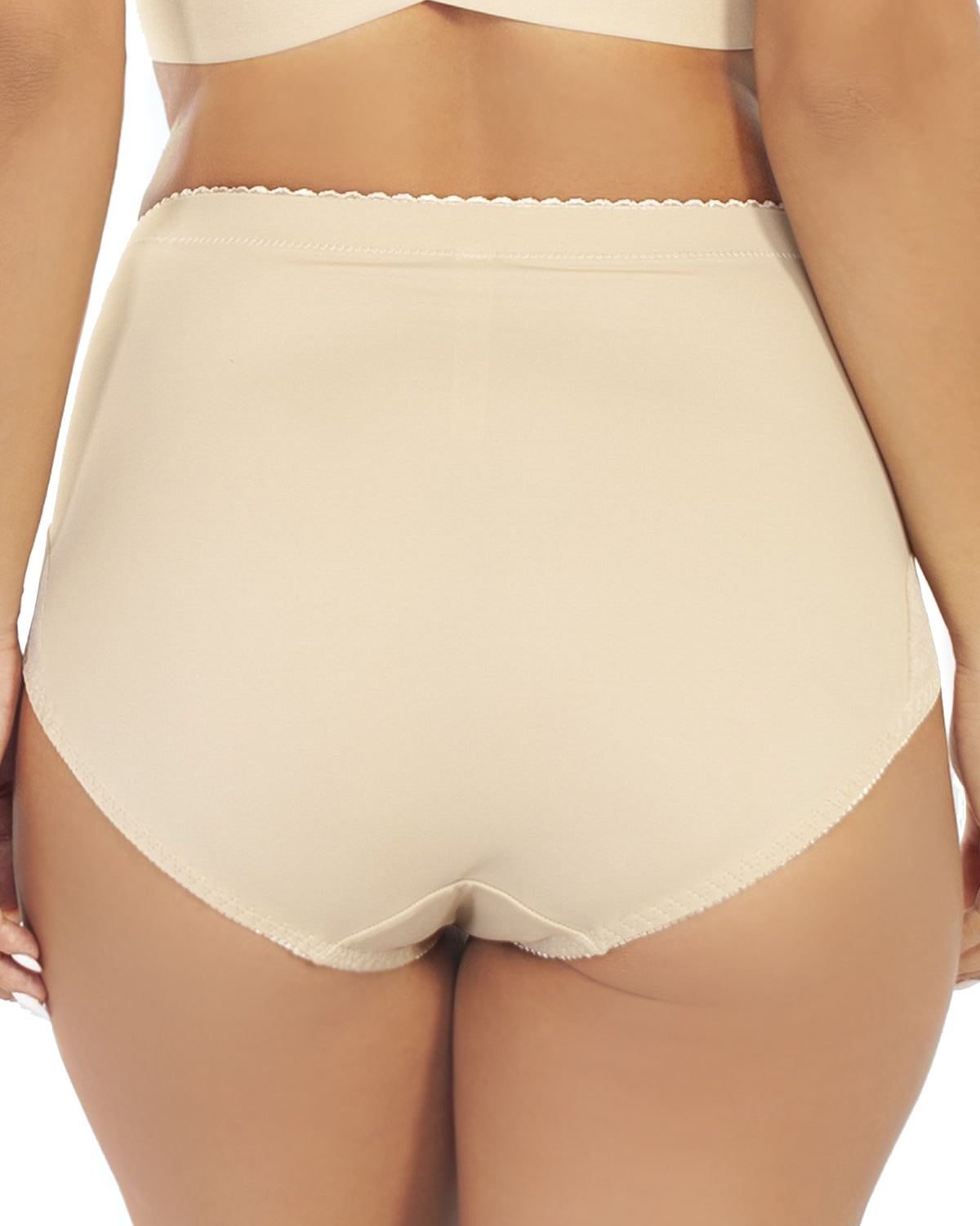 Mesh Inset Brief_Rhonda_Shear_6