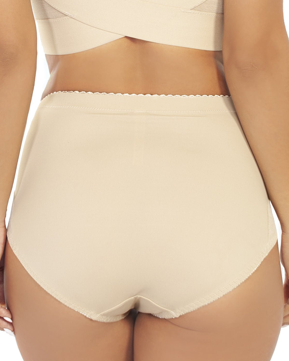 Mesh Inset Brief_Rhonda_Shear_6