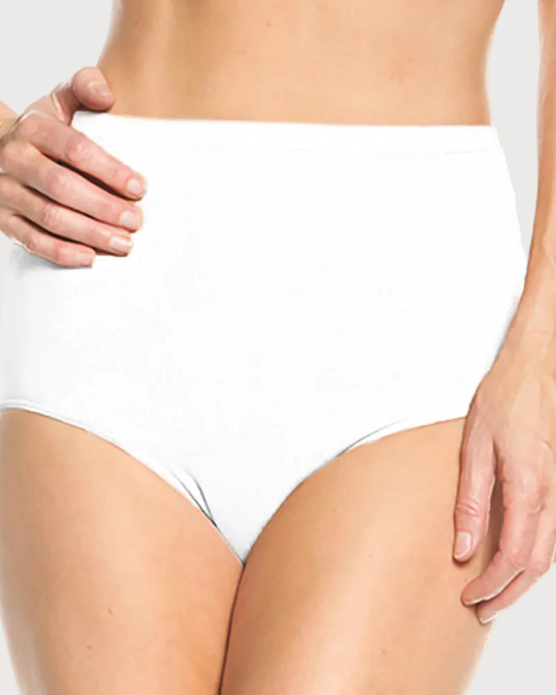 Ahh Natural Waist Seamless Panty_Rhonda_Shear_11