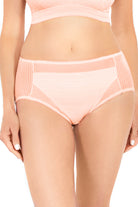 Striped Mesh Detail Brief_Rhonda_Shear_3