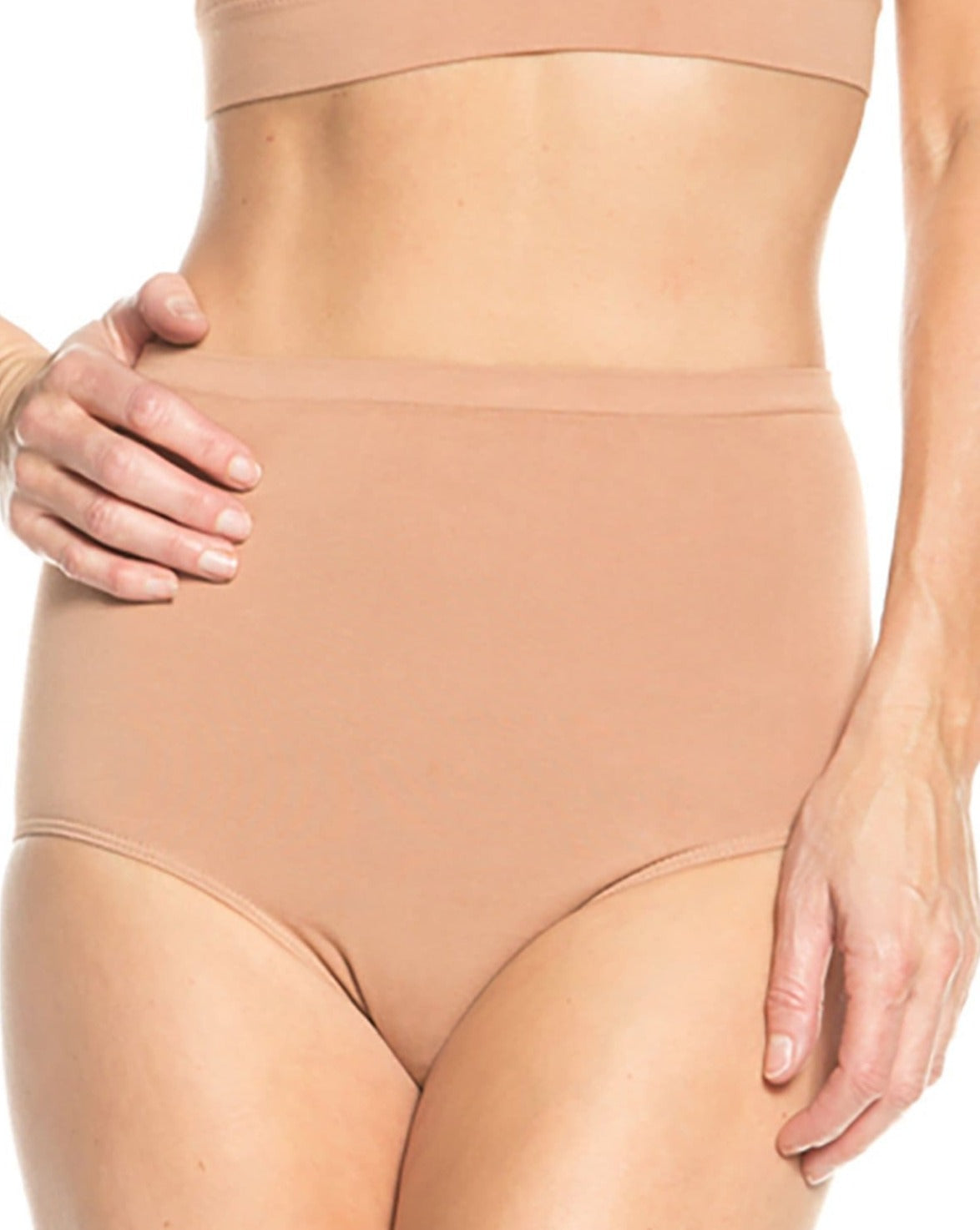 Women's Rhonda Shear 9815 High Waist Smoothing Long Leg Panty (Nude 1X)